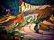 行摄云南&mdash;贾建国