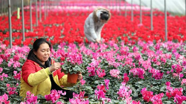 河北衡水：小寒时节冬管忙
